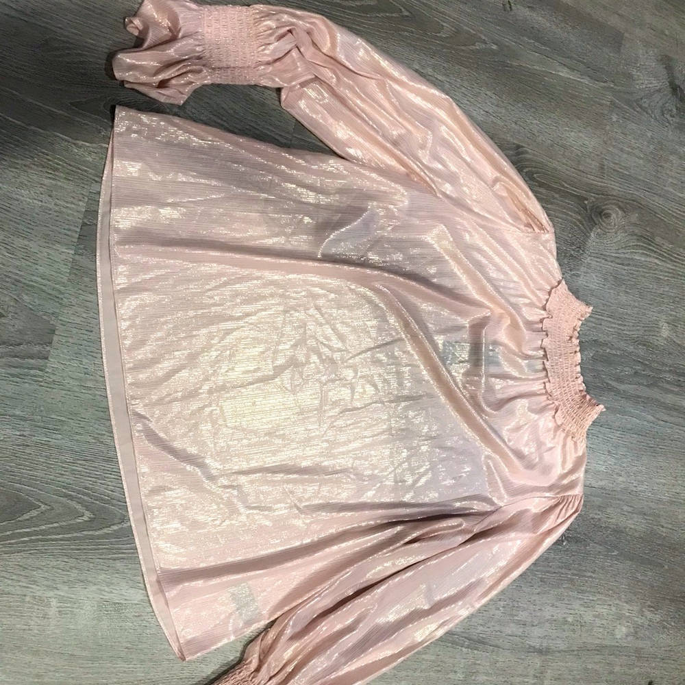 Rosa pink, gold striped blouse